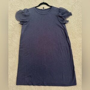 Express Navy Dress with Sheer Sleeves